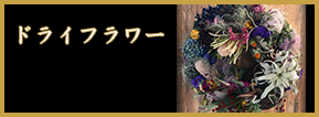 ドライフラワー