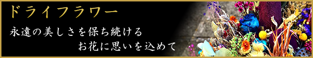 ドライフラワー 永遠の美しさを保ち続けるお花に思いを込めて